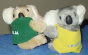 Souvenirs Australia Warehouse Pic 2 - cute cling on koalas