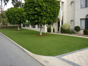 Astrodeck Warehouse Pic 2 - Everlawn Grass Mt Pleasant