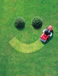 Mr Mowing Express Pic 3