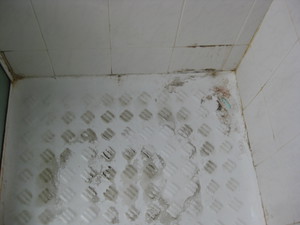 Keldan Cleaning Services Pty Ltd Pic 2 - before shower