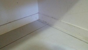 Brisbane Bond Cleaners Pic 5 - Walls skirting and floors cleaned by Brisbane Bond Cleaners Rockfield Villas