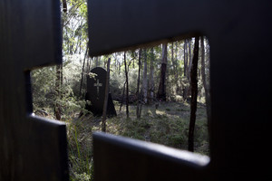 Delta Force Paintball Pic 5 - Crypt Game Zone