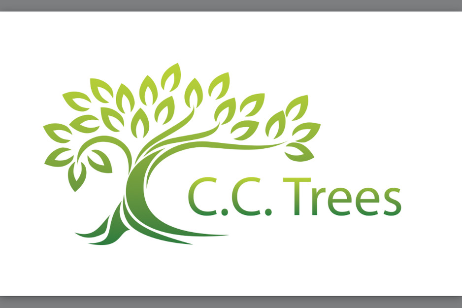 C.C.Trees Pic 1