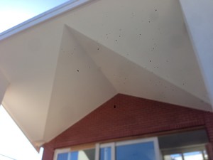 CleverCeilings Pic 5 - External Ceiling using Boral Fiberock Westbourne Park