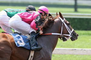 Sports Tours and Travel Pic 3 - Melbourne Cup