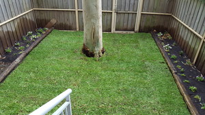 Great Southern Garden Care Pic 2 - After