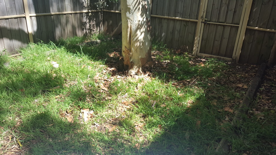 Great Southern Garden Care Pic 1 - Before