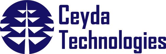 Ceyda Technologies Pic 1 - creating value better results