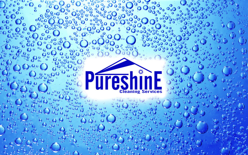 Pureshine Cleaning Services Pic 2