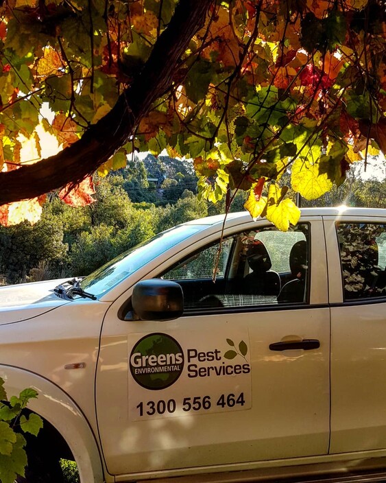 Greens Environmental Pest Services Pic 1 - Greens Environmental Pest Control vehicle