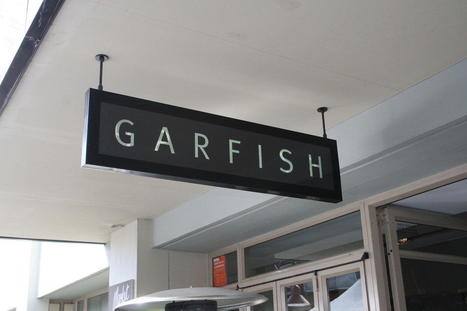 Garfish Kirribilli Pic 1