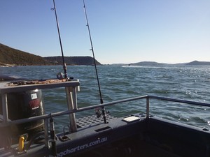 Hawkesbury Fishing Charters Pic 2