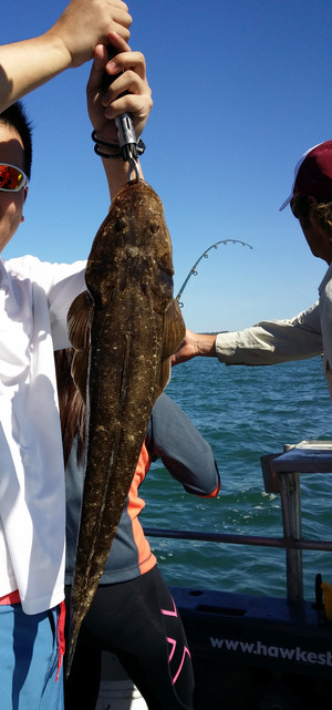 Hawkesbury Fishing Charters Pic 4 - Flathead