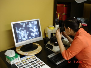 BetterHealth Naturopathic Clinic Pic 4 - live blood screening