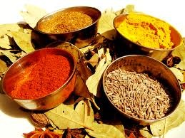 bollywood ishtyle indian restaurant Pic 1 - spices