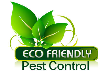 Gold Coast Pest Control Pic 1 - SAFE FOR ALL YOUR FAMILY