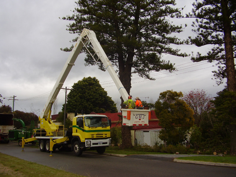 WA Tree Works Pty Ltd Pic 1 - Perth WA Mulch Services