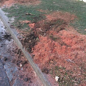 Haulcut Pic 5 - Haulcut stump grinding Brisbane