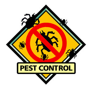 All Pests Control Pic 2 - All Pests South East Melbourne Experienced Professional Pest Control Services Spiders Mice Fleas Roaches More