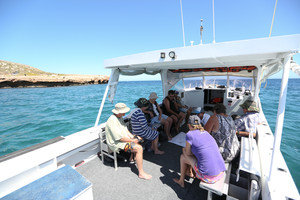 Shark Bay Dive and Marine Safaris Pic 2