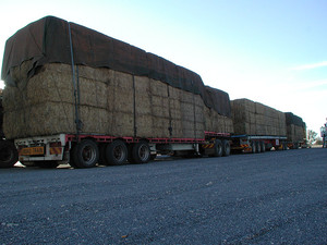 Graceys Transport Pty Ltd Pic 2 - Freight Transport in Australia