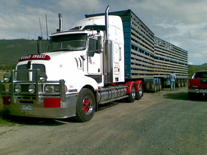 Graceys Transport Pty Ltd Pic 5 - Freight Transport in Australia