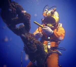 Aus Coast Diving and Marine Pic 2