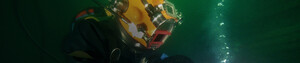 Aus Coast Diving and Marine Pic 5