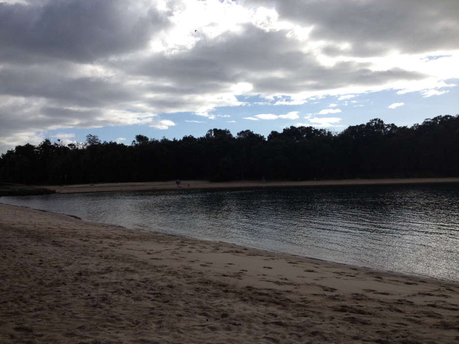 Palm Beach Parklands Pic 1 - Cloudy morning at the parklands