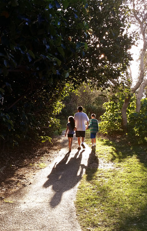 Palm Beach Parklands Pic 4 - Late afternoon walk Palm Beach Parklands