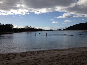 Palm Beach Parklands Pic 2 - Stand Up Paddle lessons at Currumbin Creek