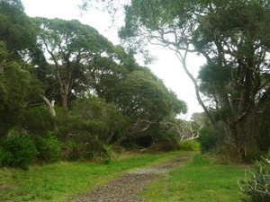 Point Nepean National Park Pic 4