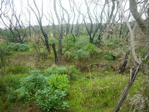 Point Nepean National Park Pic 3