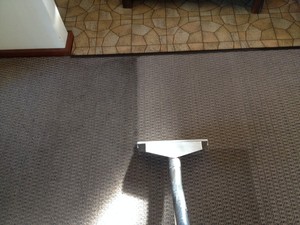 CleanRite Carpet Cleaning Pic 2 - Steam Clean Carpet