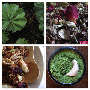 Clara Bitcon I Naturopath & Herbalist Pic 3 - Herbal medicine bespoke skincare and wholistic nutrition