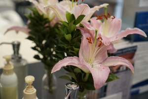 Relax & Refresh Beauty Salon Pic 5 - Relax and refresh yourself in Paddington with Marias fresh flowers greeting you on arrival