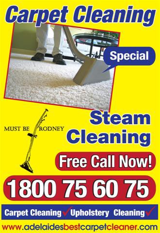 Professional Carpet & Upholstery Pty Ltd Pic 1