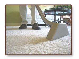 Professional Carpet & Upholstery Pty Ltd Pic 2