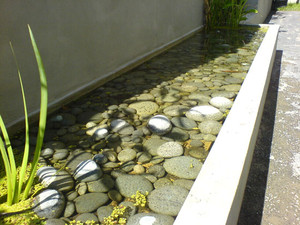 The Botanical Group Landscaping Pty Ltd Pic 5