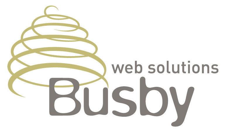 Busby Web Solutions Pic 2 - make your website buzz with potential