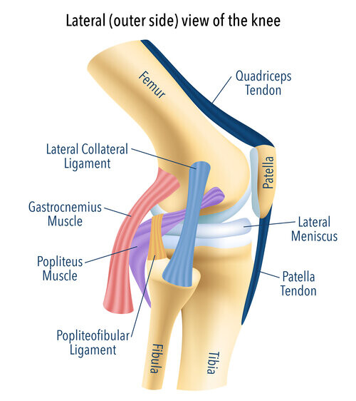 Mr Vishal Pai Orthopedic Knee Surgeon Pic 1 - Mr Vishal Pai Orthopedic Knee Surgeon