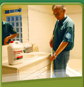 O'shea's Carpet Cleaning Pic 2 - carpet cleaner adelaide