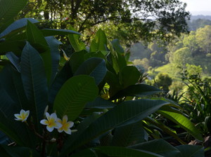 Naamba Health & Day Spa - Bodywork & Massage Clinic Pic 3 - Back to Nature profoundly grounding spa treatments