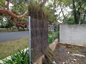 Majestic Brushwood Fencing Pic 2