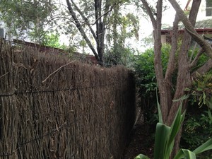 Majestic Brushwood Fencing Pic 4