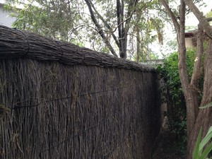 Majestic Brushwood Fencing Pic 5