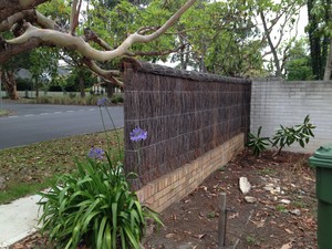 Majestic Brushwood Fencing Pic 3