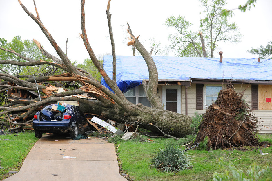 Maroochy Tree Service Pic 1 - We can fix this