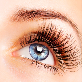 Lash210 Eyelash Extensions Pic 1