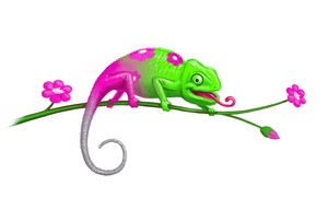 Sustainable Marketing Services Pic 4 - Sustainable Marketing Services Brisbane marketing company Susty the Chameleon